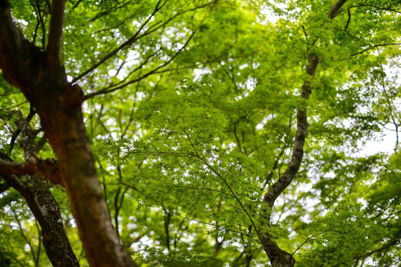 Villa Hamorebi Hatsukaichi Bagian luar foto
